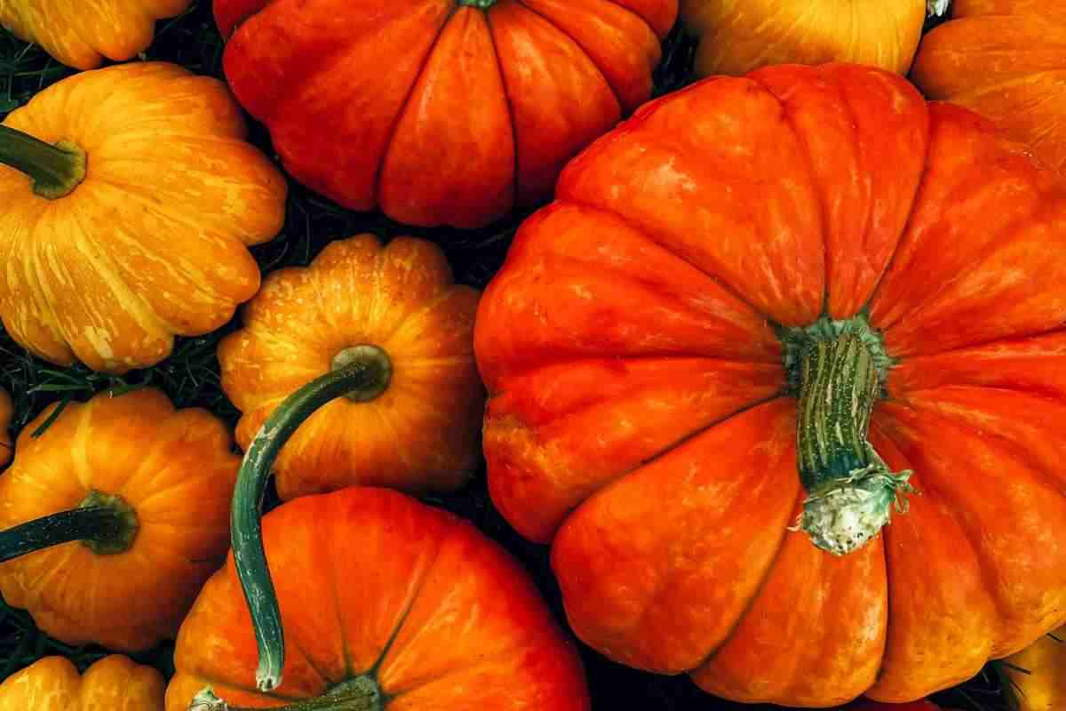 zucca supermercato come non comprarlo