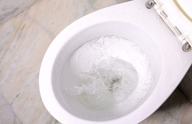 acqua wc