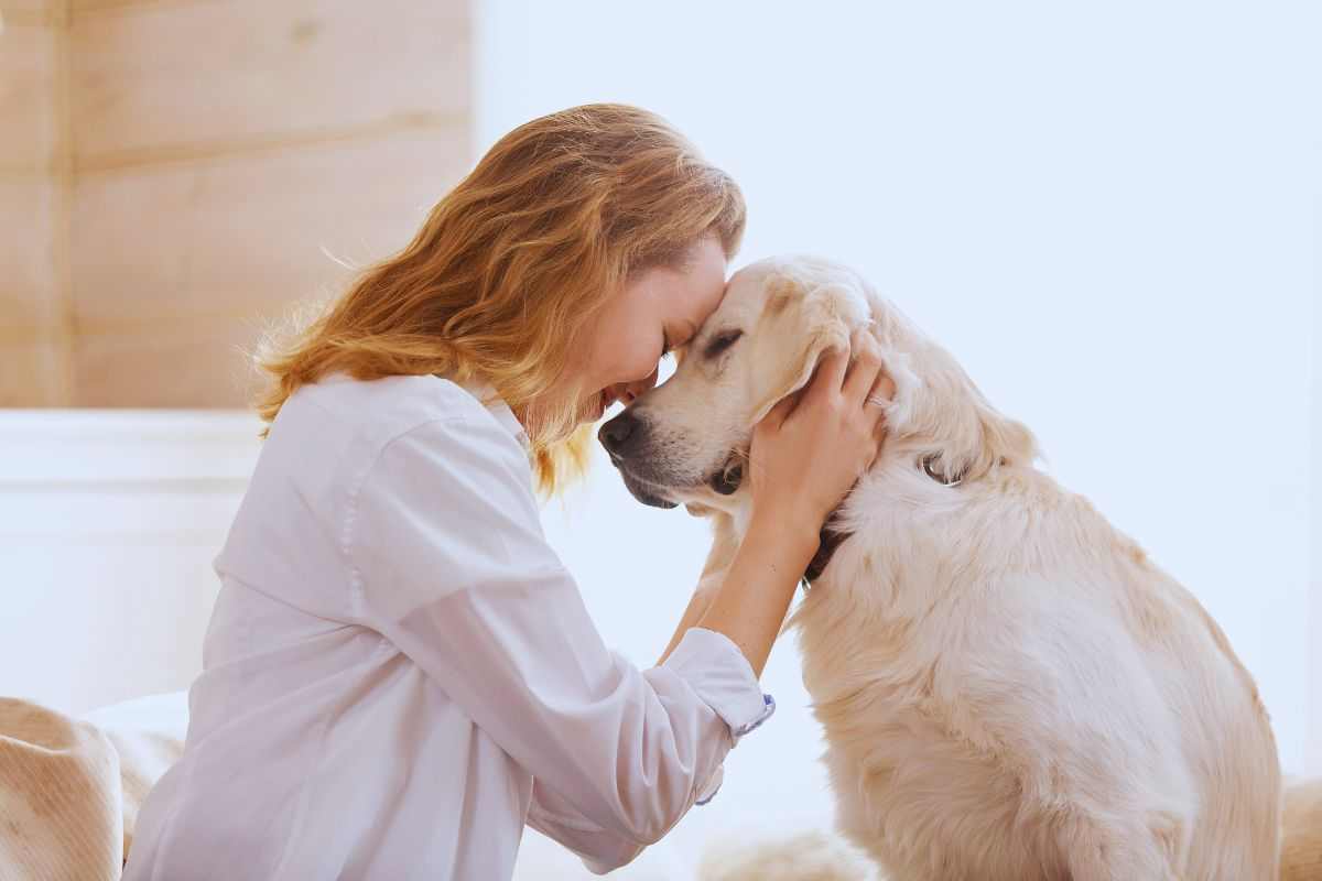 il cane aiuta a disgnosticare malattie