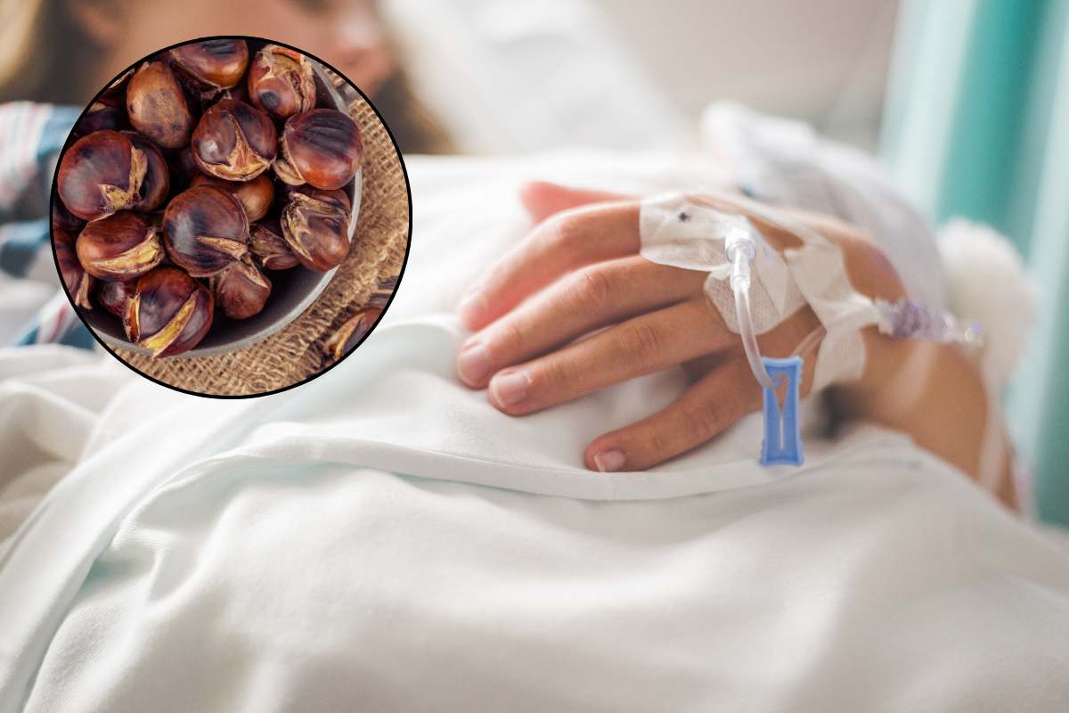 castagne pericolose salute