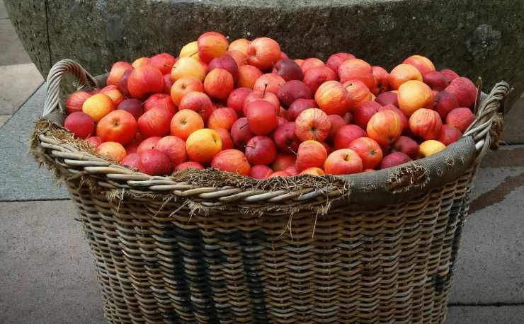 mele rosse in cesto