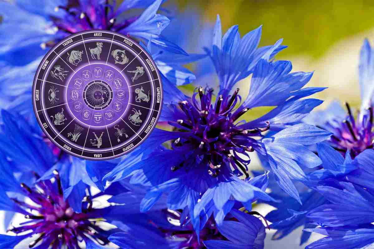 piante e segni zodiacali ad ognuno la sua