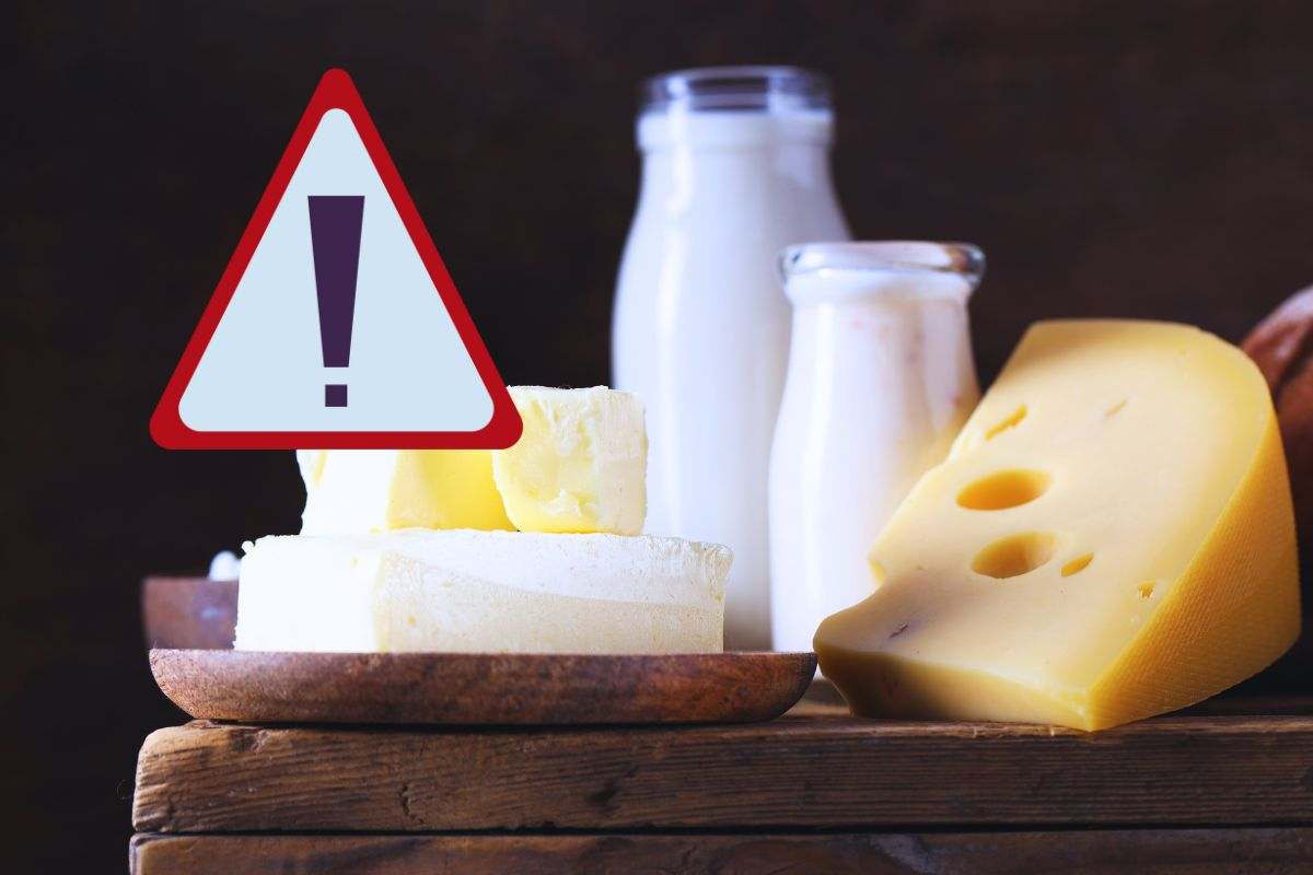 pericolo di microplastiche in latte e formaggi