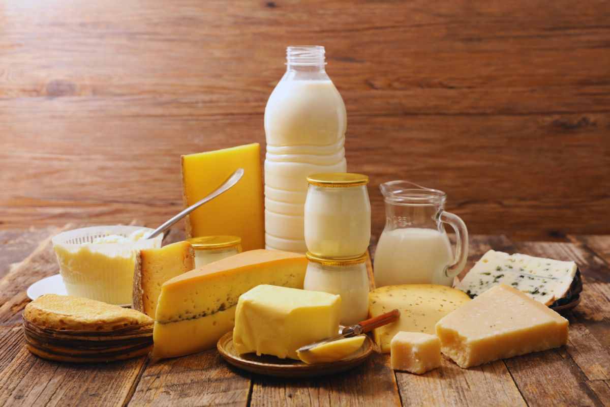 latte e formaggi e rischio di contaminazione da micropalstiche