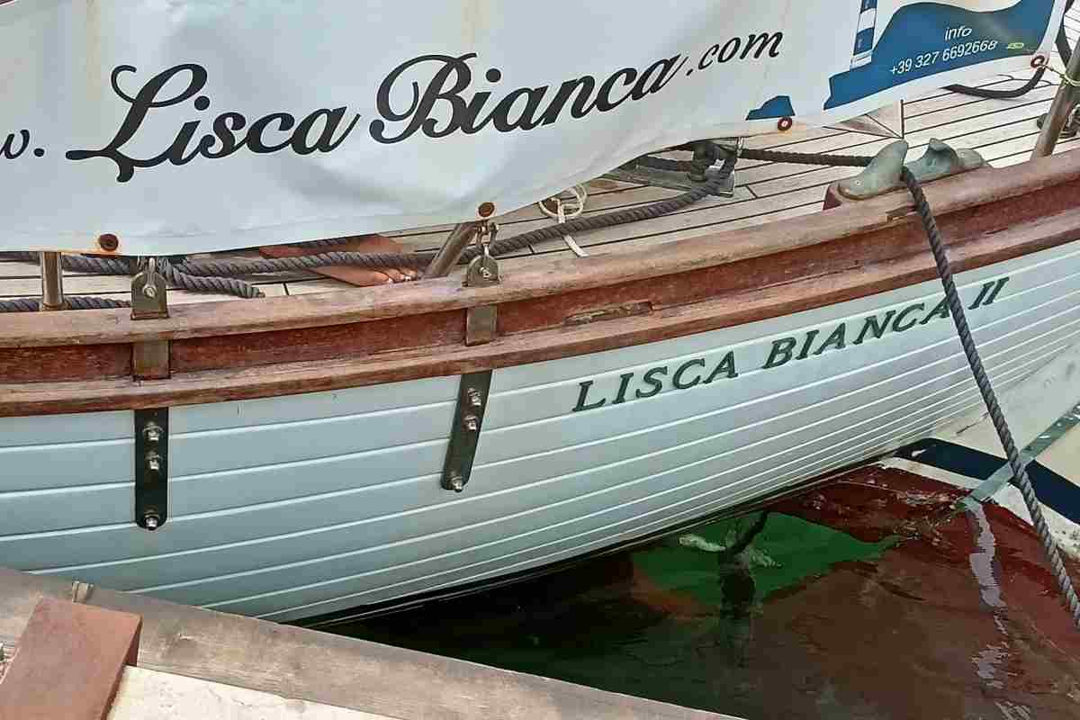 ritorno lisca bianca II