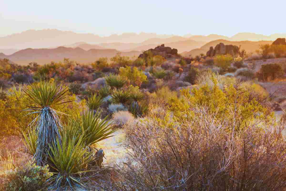 il luogo tra biella e ivrea che sembra un deserto