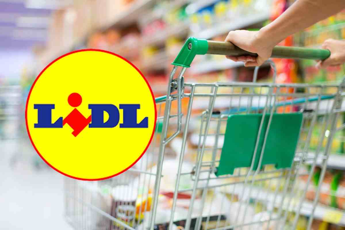 lidl offerta novembre tende oscuranti a meno di 20 euro