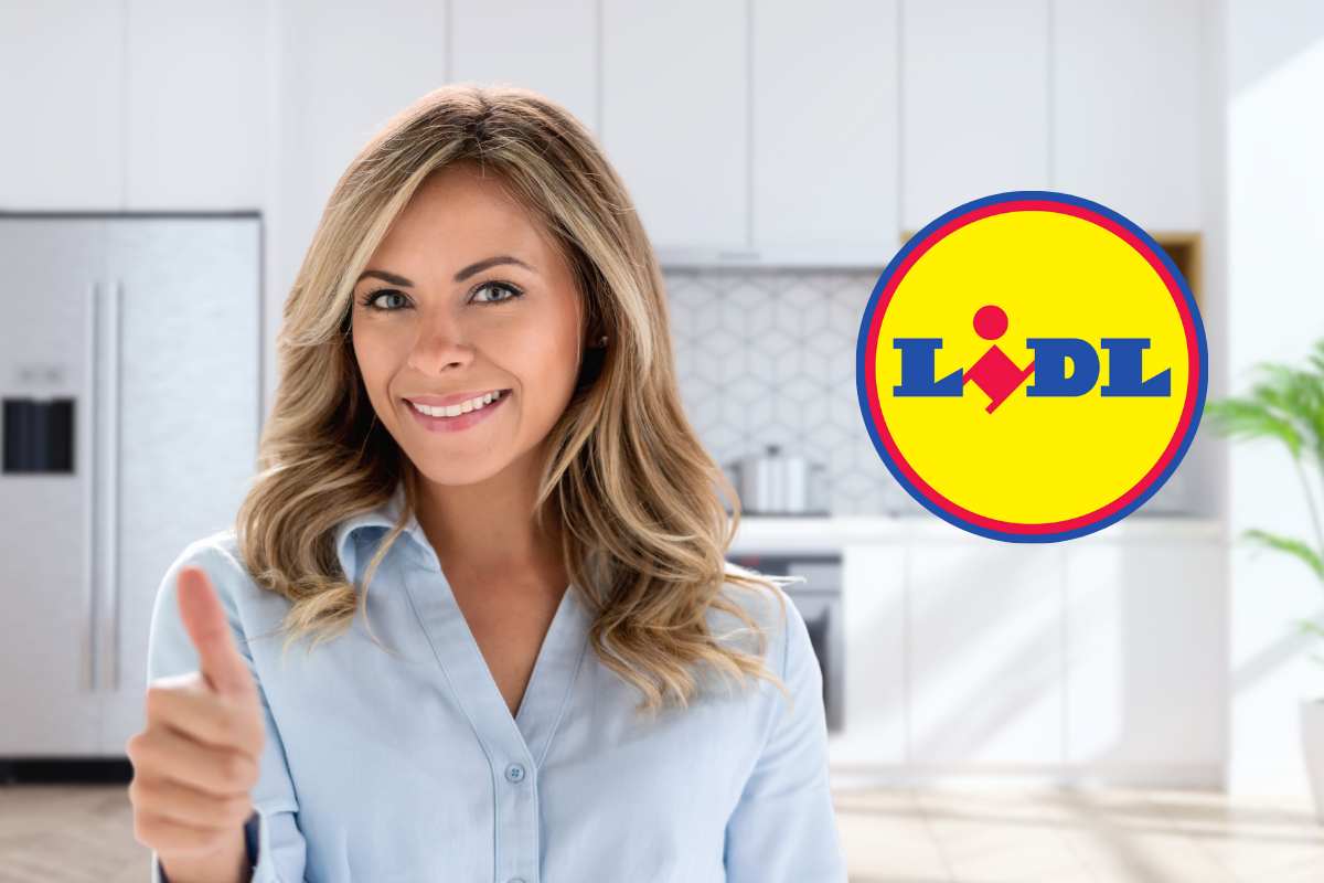 lidl logo donna ok cucina