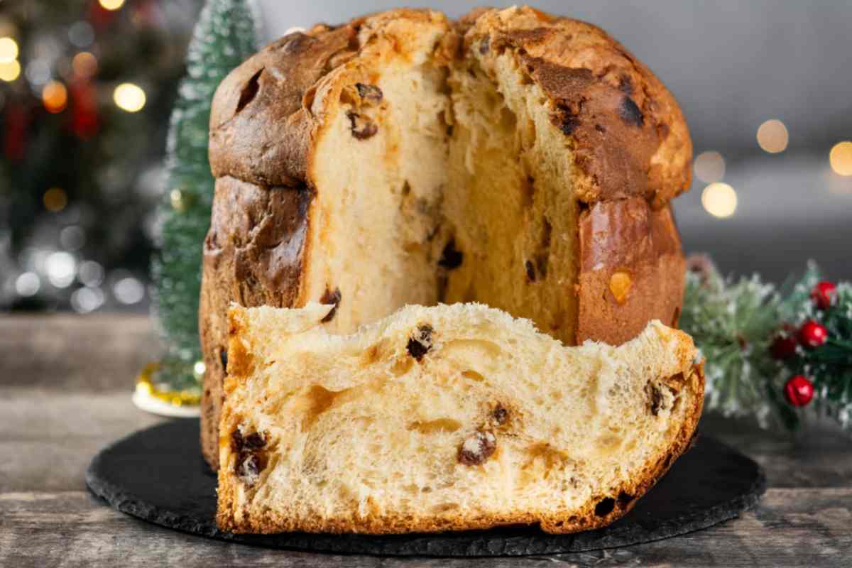panettone