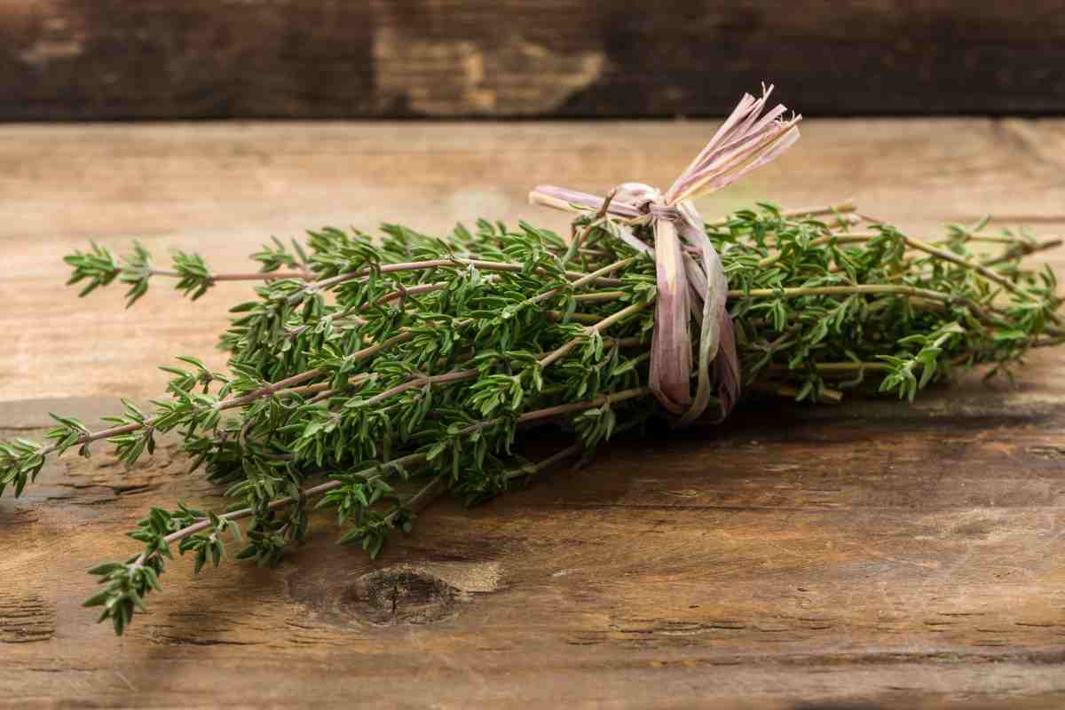 L'antibiotico naturale più potente