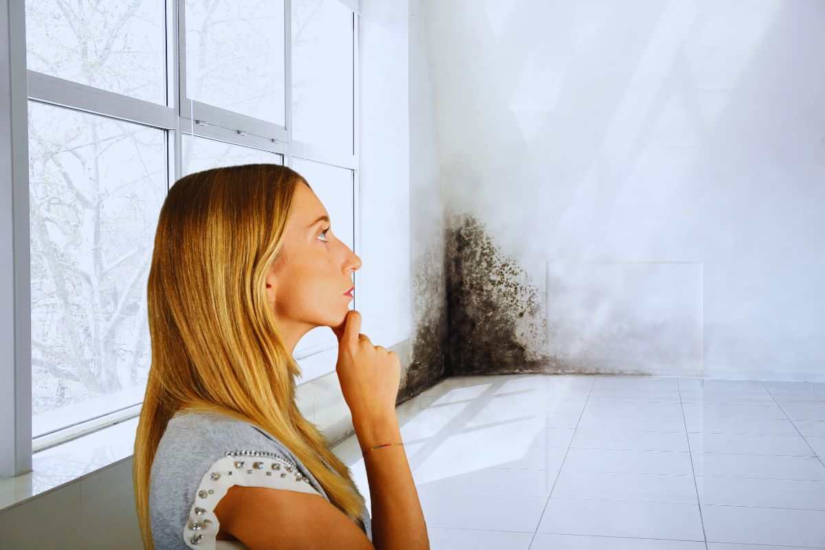 come eliminare l'umidità in casa